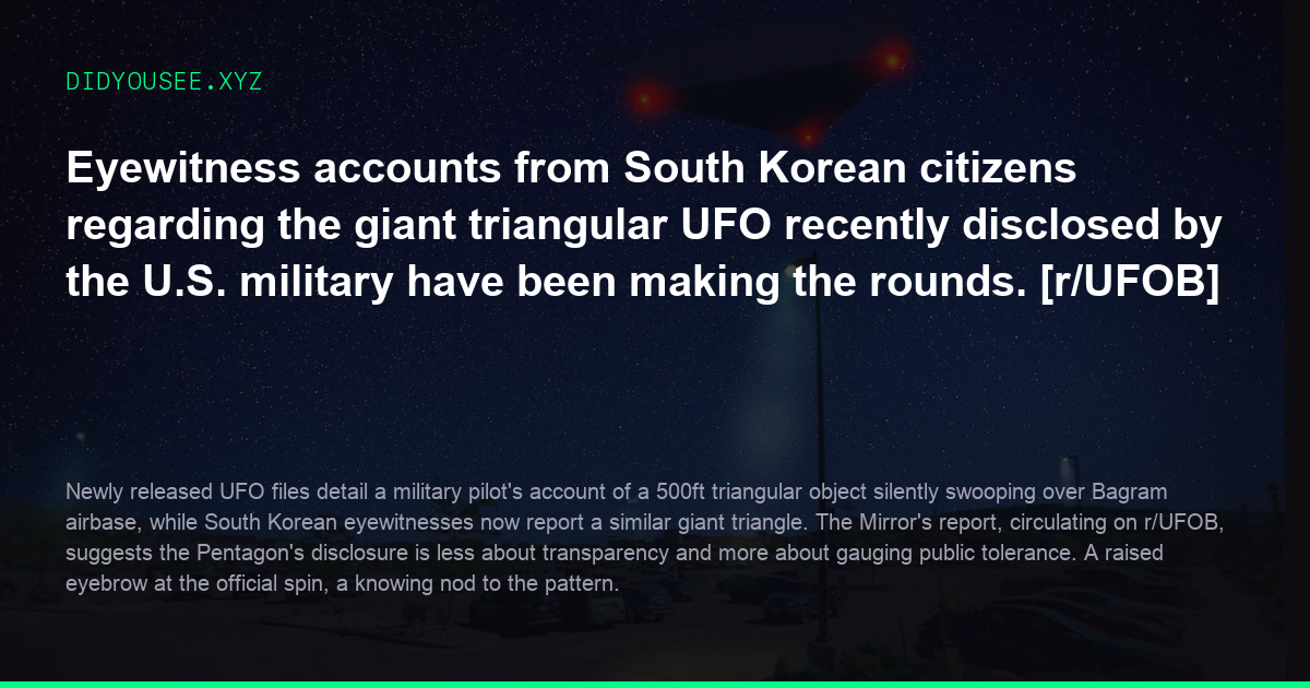 Eyewitness accounts from South Korean citizens regarding the giant triangular UFO recently disclosed by the U.S. military have been making the rounds. [r/UFOB]